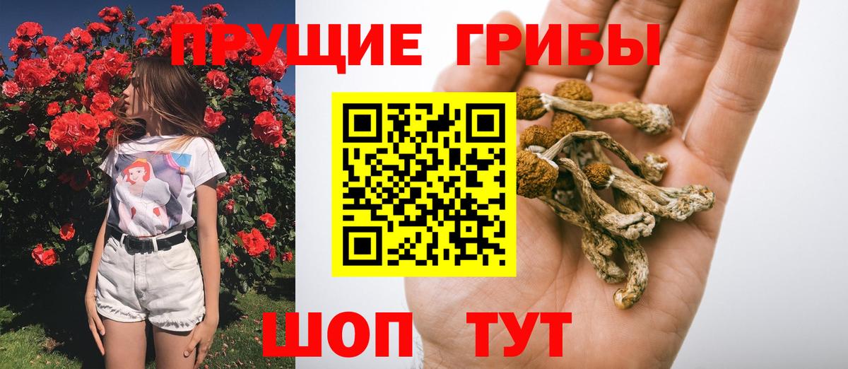 Галлюциногенные грибы GOLDEN TEACHER  Псилоцибиновые грибы прущие грибы  Вход с VPN  Сланцы 